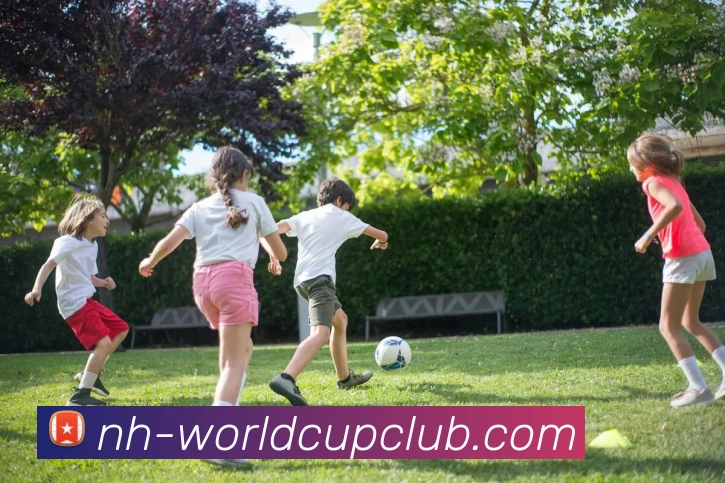 世俱杯体育投注平台生态图