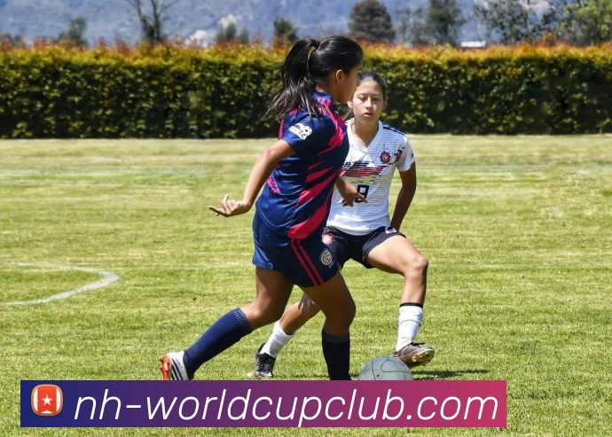 世俱杯体育投注APP 封面图